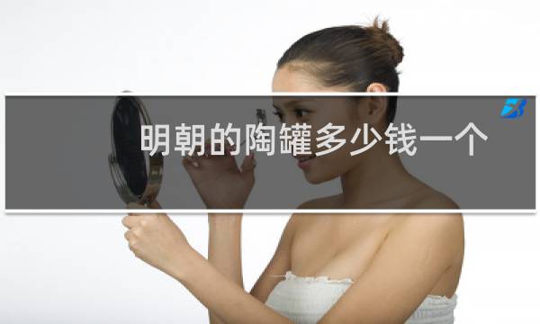 明朝的陶罐多少钱一个