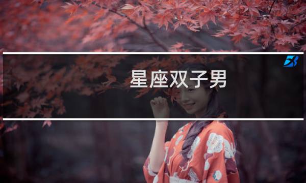 星座双子男