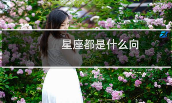 星座都是什么向