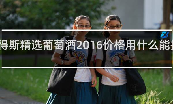 星得斯精选葡萄酒2016价格用什么能扫出价格