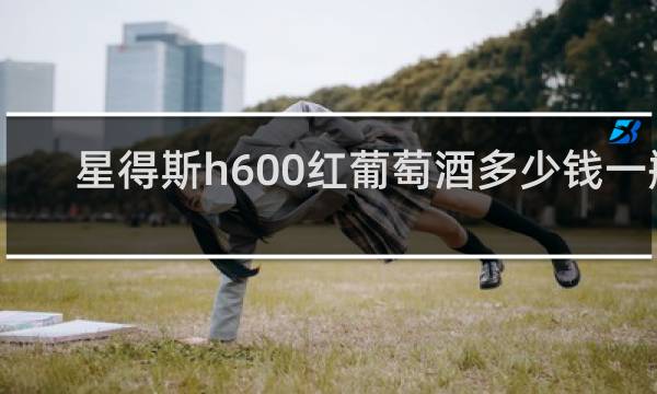 星得斯h600红葡萄酒多少钱一瓶
