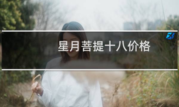 星月菩提十八价格