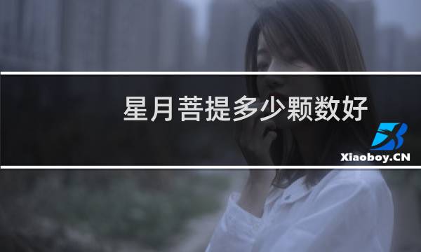 星月菩提多少颗数好