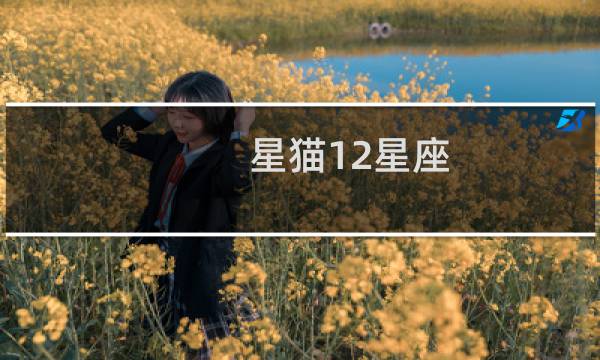 星猫12星座