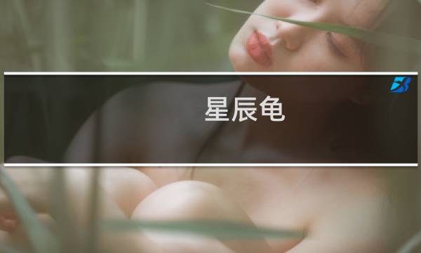 星辰龟 攻略