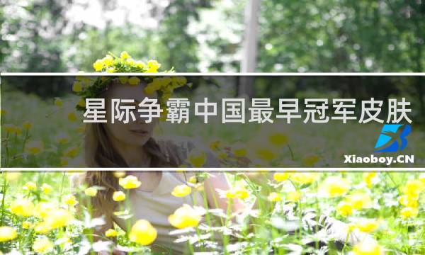 星际争霸中国最早冠军皮肤