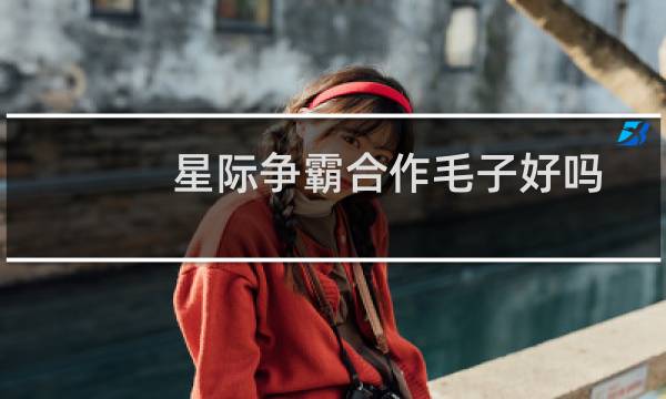 星际争霸合作毛子好吗