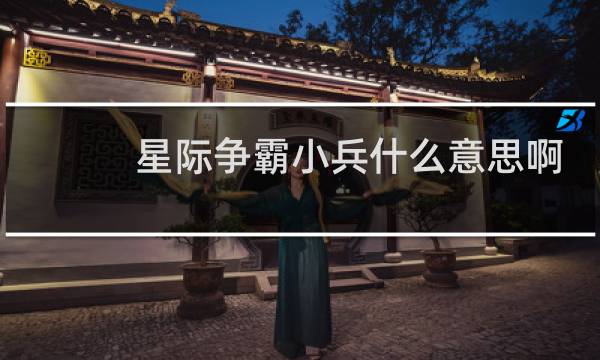 星际争霸小兵什么意思啊