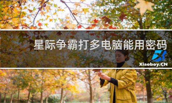 星际争霸打多电脑能用密码