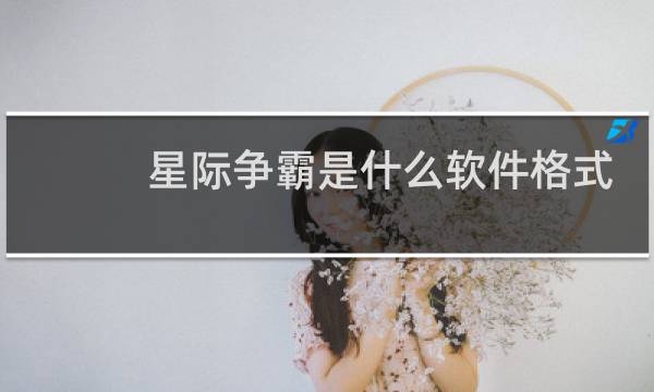 星际争霸是什么软件格式