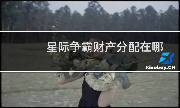 星际争霸财产分配在哪