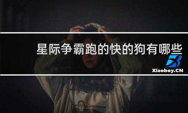 星际争霸跑的快的狗有哪些