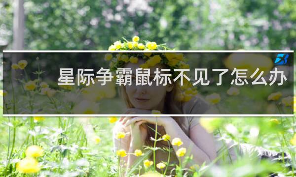 星际争霸鼠标不见了怎么办