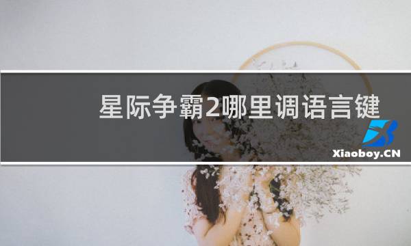 星际争霸2哪里调语言键