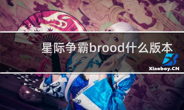 星际争霸brood什么版本