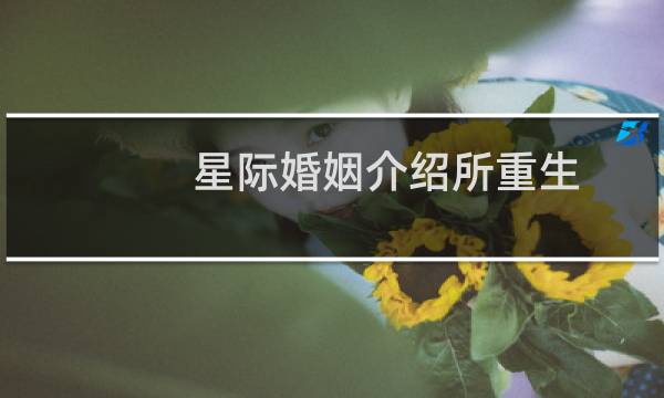 星际婚姻介绍所重生