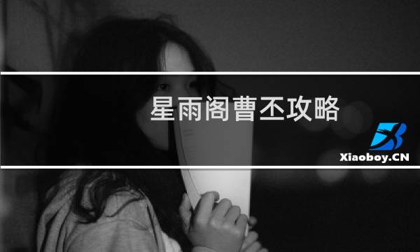 星雨阁曹丕攻略