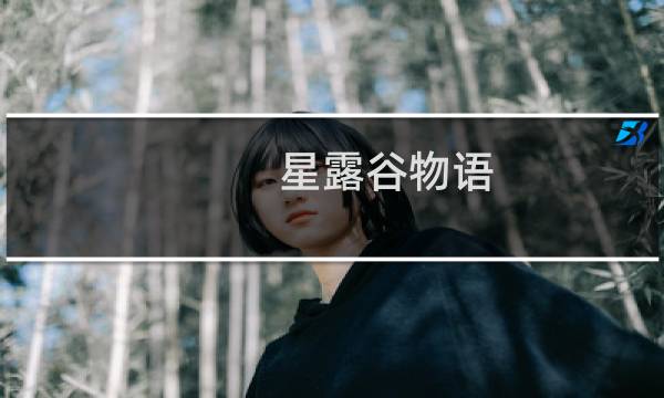 星露谷物语 好友度怎么看