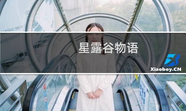 星露谷物语 道具存放