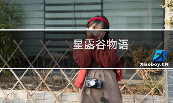 星露谷物语 钱有啥用