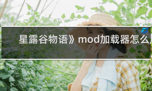 星露谷物语》mod加载器怎么用