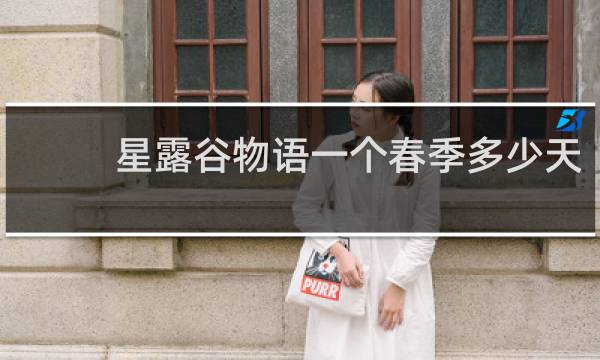 星露谷物语一个春季多少天