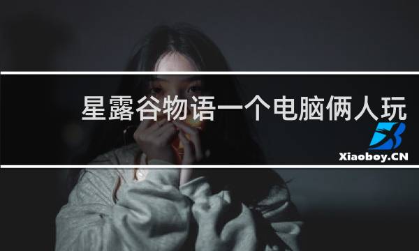 星露谷物语一个电脑俩人玩