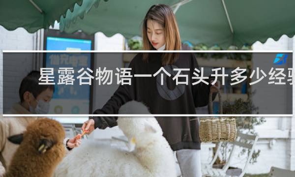 星露谷物语一个石头升多少经验