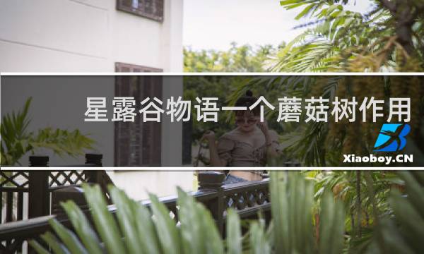 星露谷物语一个蘑菇树作用