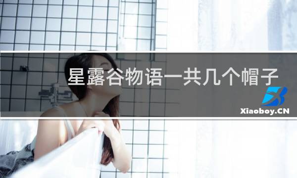 星露谷物语一共几个帽子