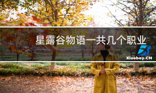 星露谷物语一共几个职业