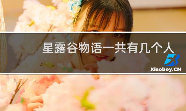 星露谷物语一共有几个人