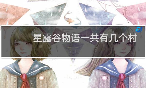 星露谷物语一共有几个村