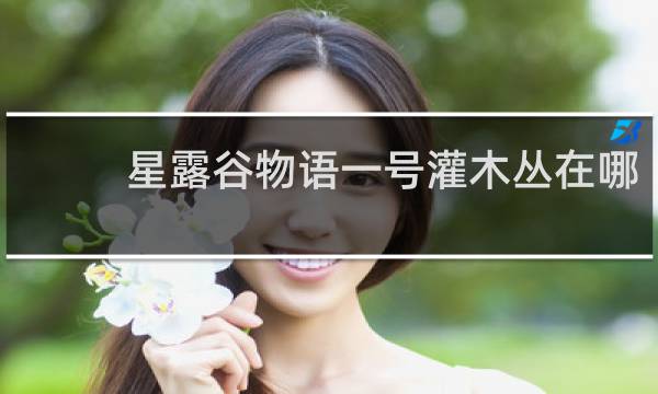 星露谷物语一号灌木丛在哪