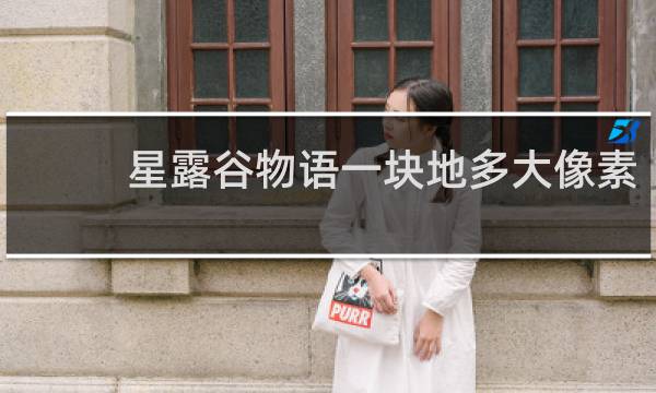 星露谷物语一块地多大像素
