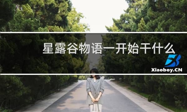 星露谷物语一开始干什么