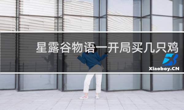 星露谷物语一开局买几只鸡