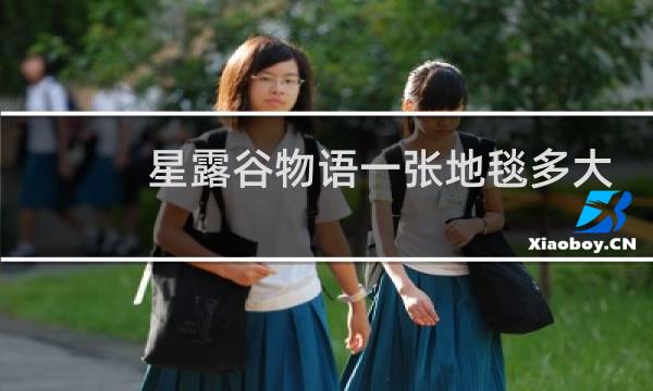 星露谷物语一张地毯多大