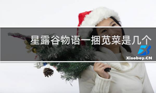 星露谷物语一捆苋菜是几个