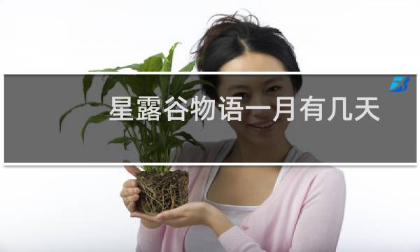 星露谷物语一月有几天