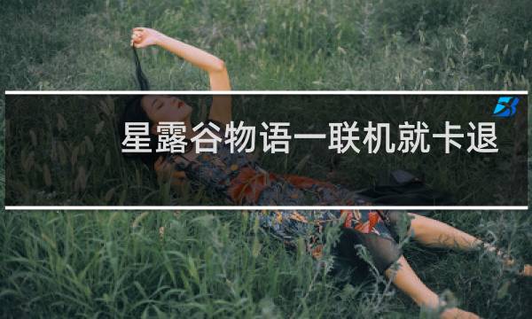 星露谷物语一联机就卡退