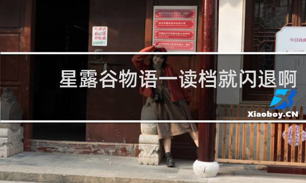 星露谷物语一读档就闪退啊