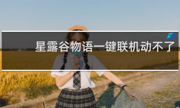 星露谷物语一键联机动不了