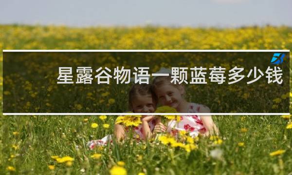 星露谷物语一颗蓝莓多少钱