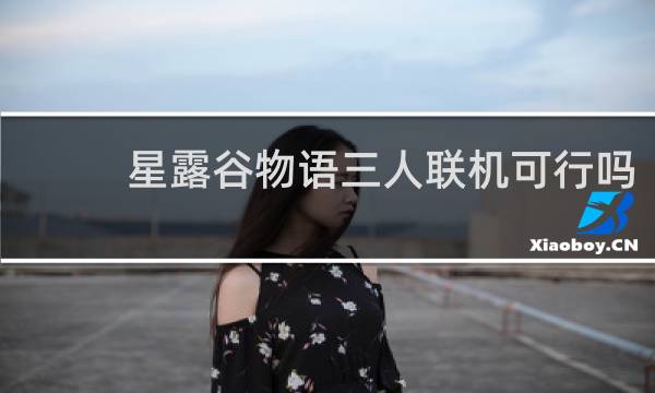 星露谷物语三人联机可行吗