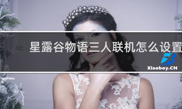 星露谷物语三人联机怎么设置