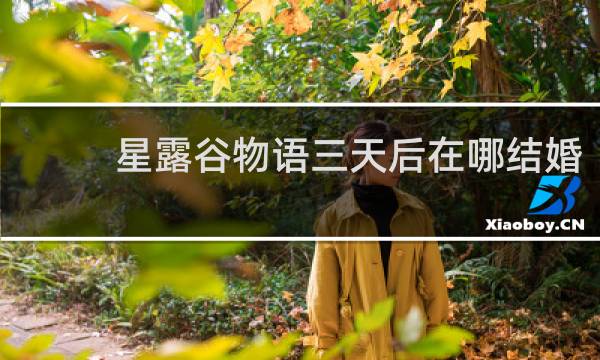 星露谷物语三天后在哪结婚
