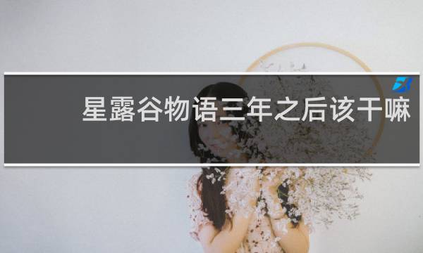 星露谷物语三年之后该干嘛