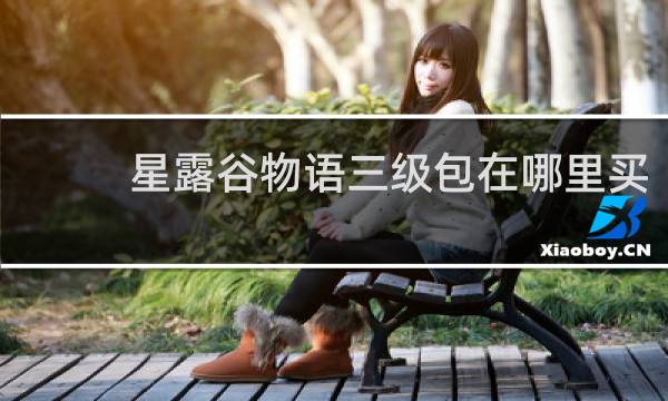 星露谷物语三级包在哪里买