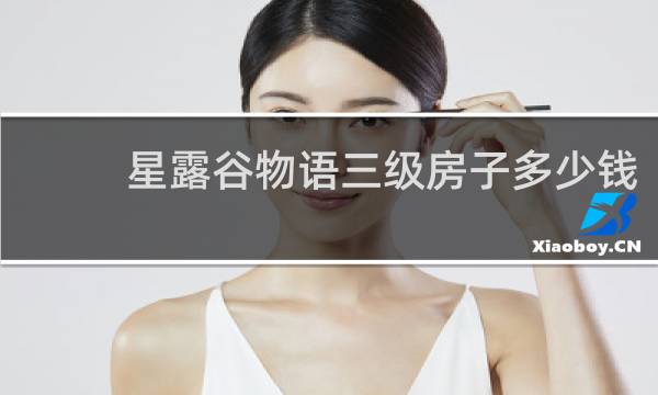 星露谷物语三级房子多少钱